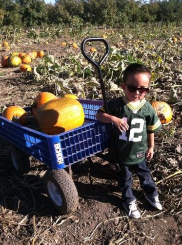 Country Pumpkins