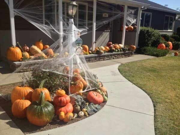 Country Pumpkins