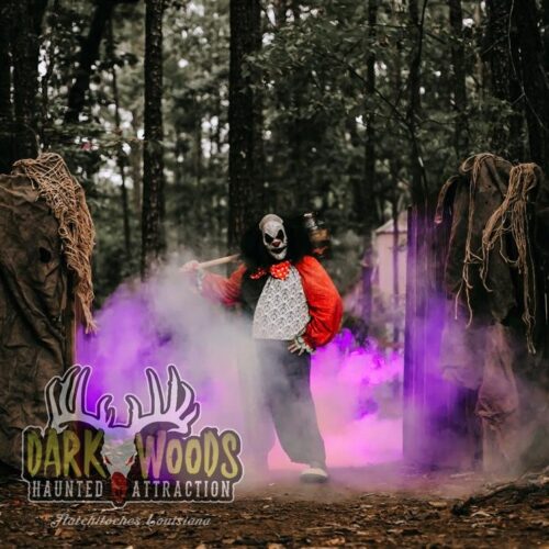 Dark Woods Haunted Attraction