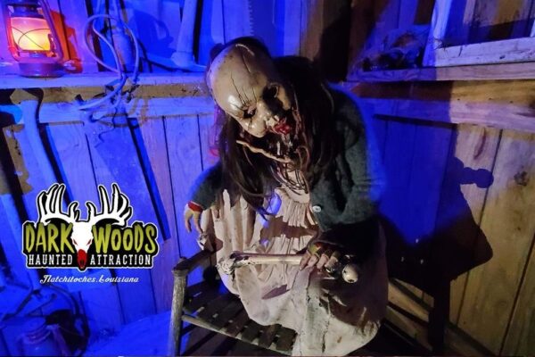 Dark Woods Haunted Attraction