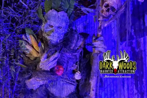 Dark Woods Haunted Attraction