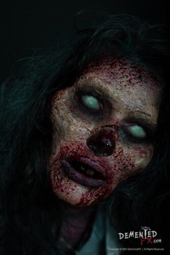 DementedFX Haunted House