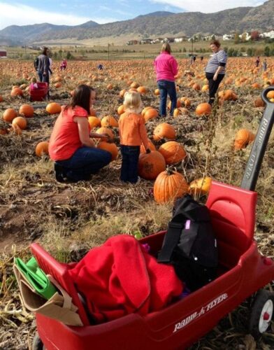 Denver Botanic Gardens Pumpkin Festival