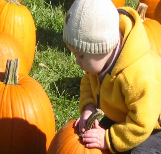 Pumpkin Train