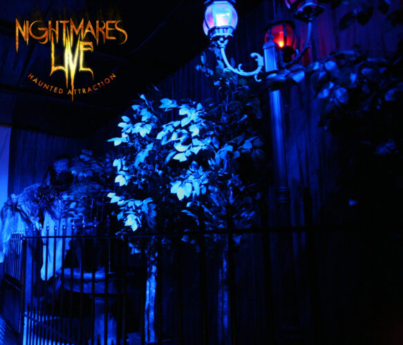 Nightmares Live
