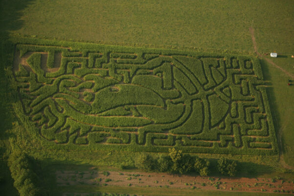 KC CORN MAZE and PUMPKIN FESTIVAL