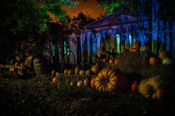 Haunted Cannery Spook House & Lunatic Asylum