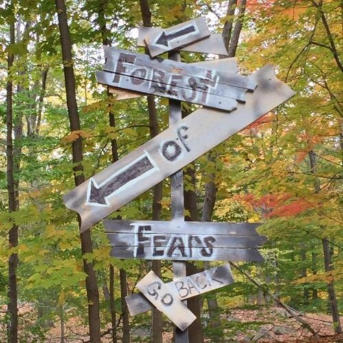 Forest O'Fears - The Haunting at Cedar Lane