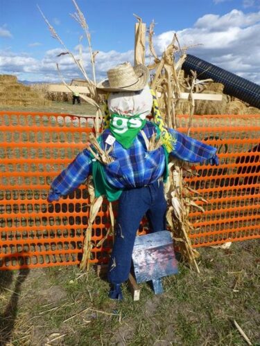 Fritz Corn Maze Haunted Trail & Haunted Barn