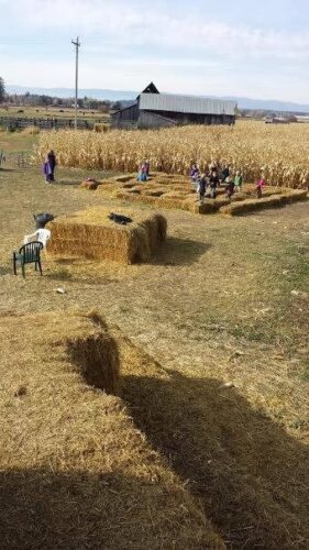 Fritz Corn Maze Haunted Trail & Haunted Barn