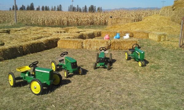 Fritz Corn Maze Haunted Trail & Haunted Barn