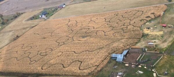 Fritz Corn Maze Haunted Trail & Haunted Barn