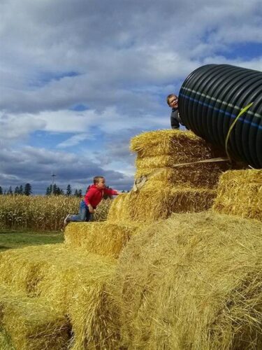 Fritz Corn Maze Haunted Trail & Haunted Barn