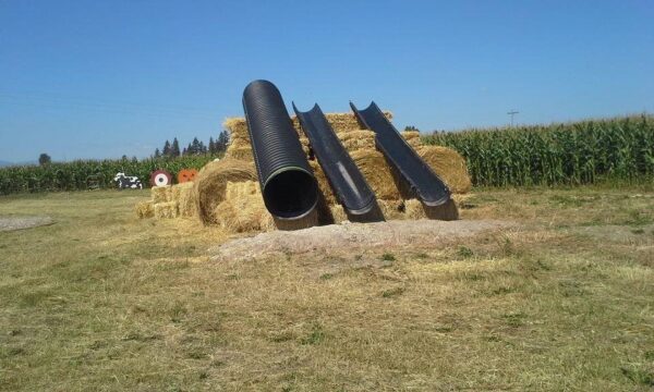 Fritz Corn Maze Haunted Trail & Haunted Barn