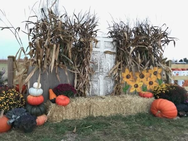 Froehlich's Farm Haunted Hayride and Fall Festival