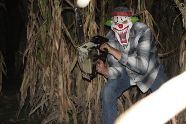 Fun Time Farms Corn MAiZE