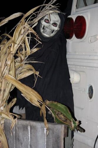 Fun Time Farms Corn MAiZE