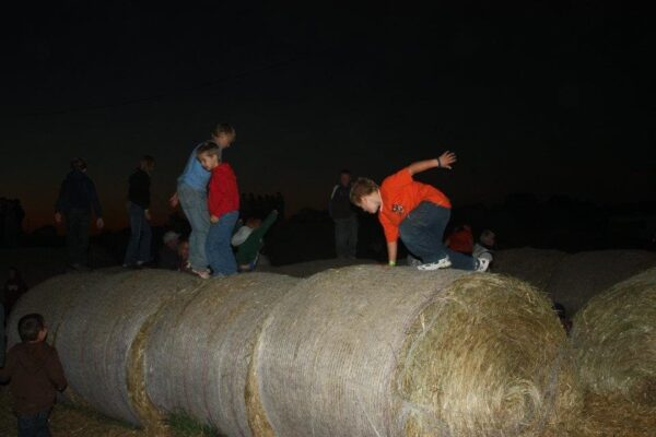 Fun Time Farms Corn MAiZE