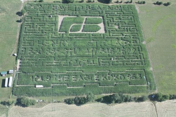 Fun Time Farms Corn MAiZE