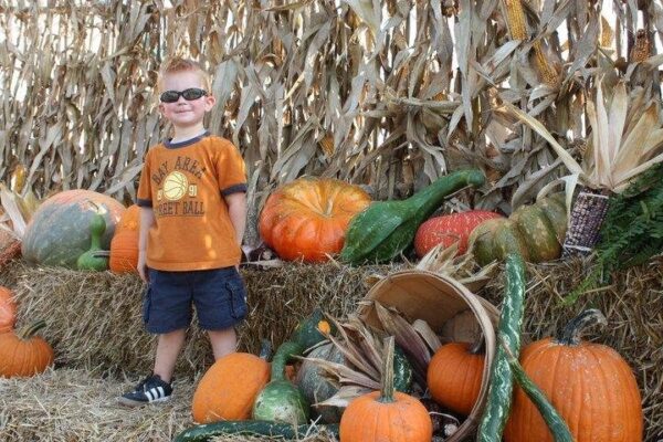 Fun Time Farms Corn MAiZE