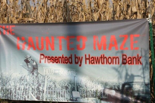Fun Time Farms Corn MAiZE