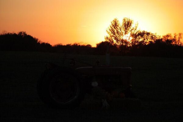 Fun Time Farms Corn MAiZE