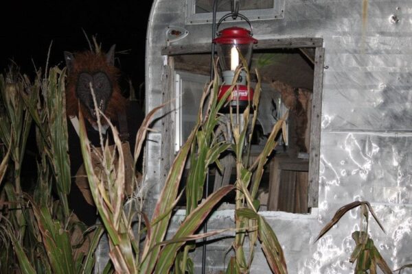 Fun Time Farms Corn MAiZE