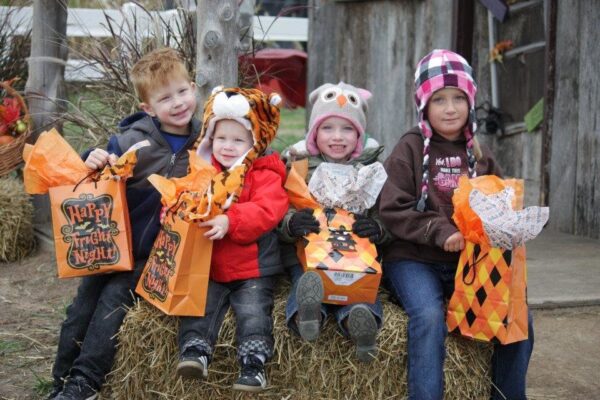 Fun Time Farms Corn MAiZE
