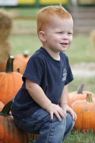 Fun Time Farms Corn MAiZE