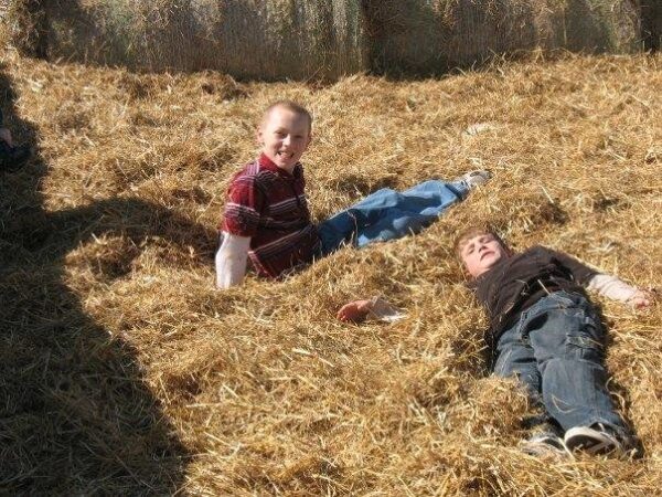 Fun Time Farms Corn MAiZE