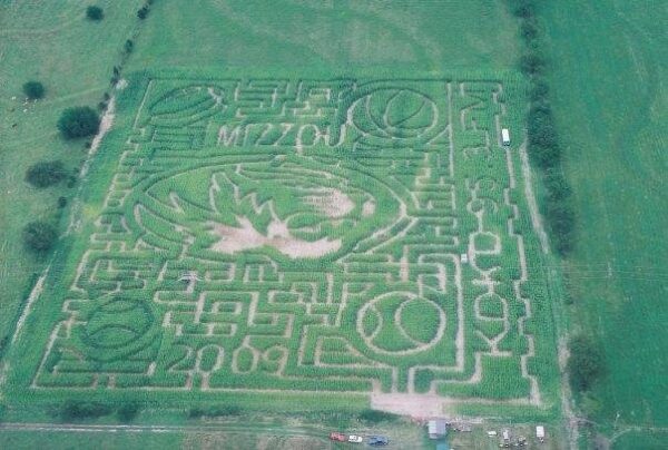 Fun Time Farms Corn MAiZE