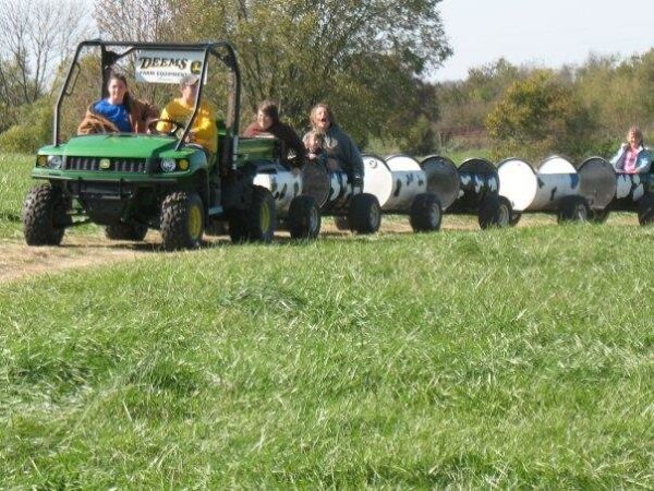 Fun Time Farms Corn MAiZE