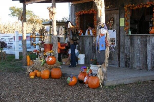 Fun Time Farms Corn MAiZE