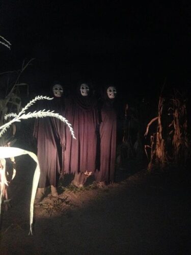Fun Time Farms Corn MAiZE