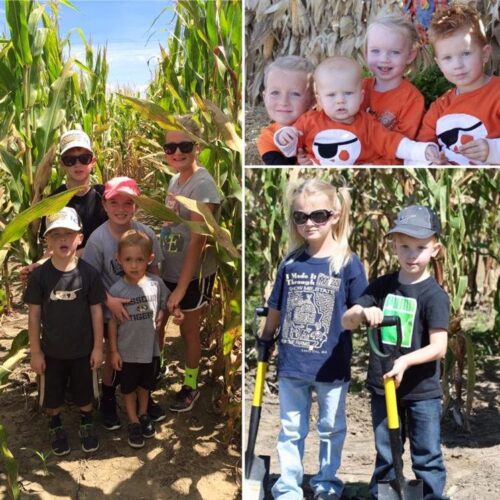 Fun Time Farms Corn MAiZE