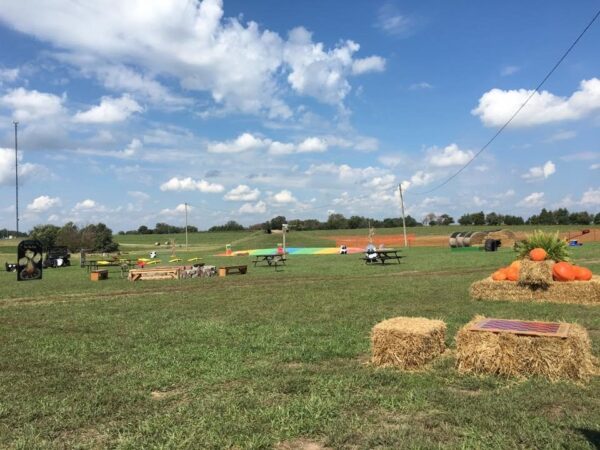 Fun Time Farms Corn MAiZE