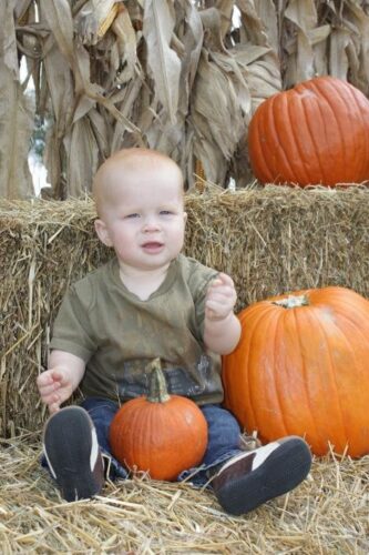 Fun Time Farms Corn MAiZE