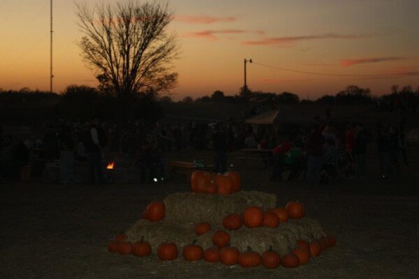Fun Time Farms Corn MAiZE