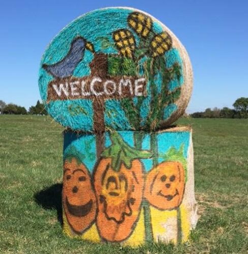 Fun Time Farms Corn MAiZE