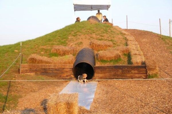 Fun Time Farms Corn MAiZE