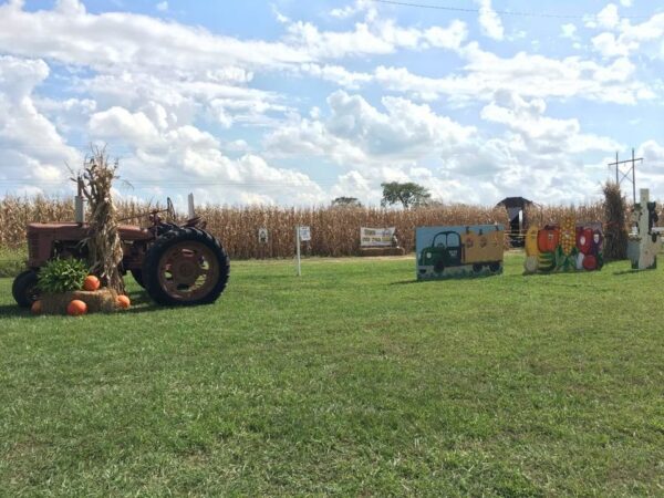 Fun Time Farms Corn MAiZE