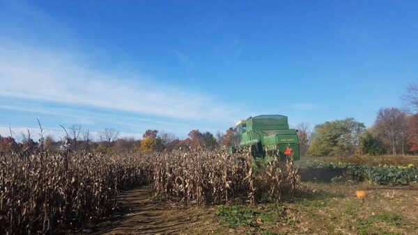 Fusilier Family Farms