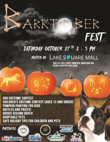 Halloween Fest at The Lake Square Mall