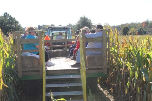 Hartman's Haunted Corn Maze & Zombie Paintball Hunting