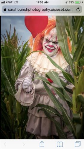 Maris Farms The Haunted Woods
