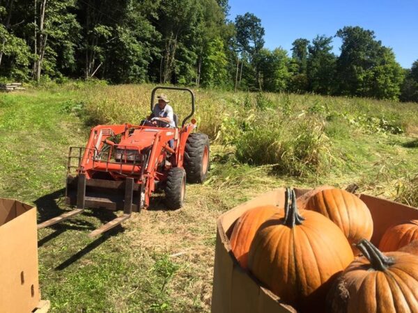 Haunted Adventure at Cornwell's Turkeyville