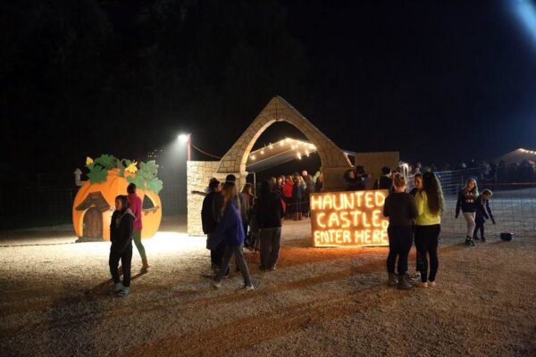 Haunted Castle and Black Forest