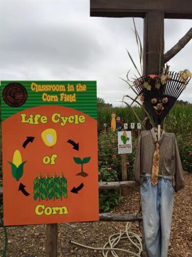 Haunted Corn Maze at Copper Creek