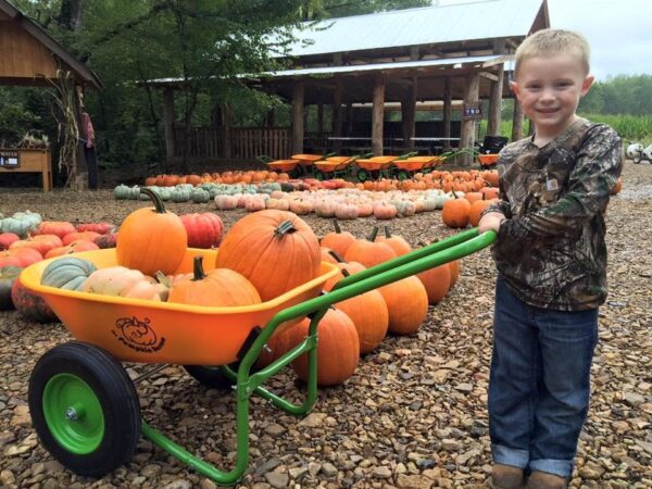 Haunted Corn Maze at Copper Creek