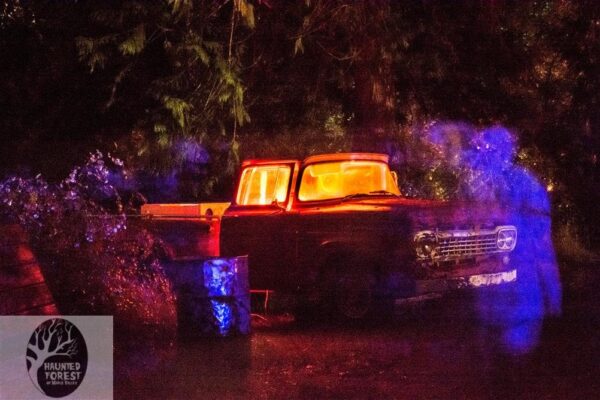 Haunted Forest of Maple Valley